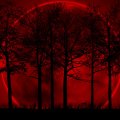 bloodred-moon-jpg